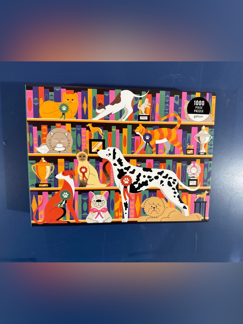 Galison 1000 piece puzzle